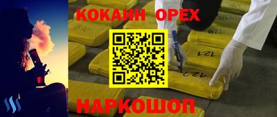 мдпв Кингисепп
