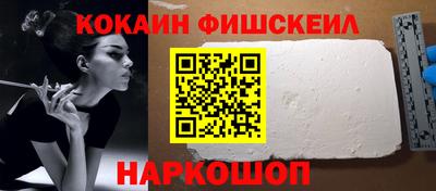 мдпв Кингисепп
