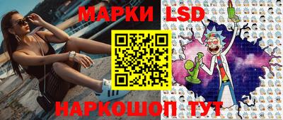 мдпв Кингисепп