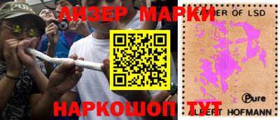 мдпв Кингисепп
