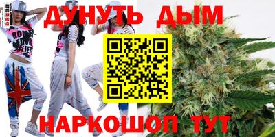 мдпв Кингисепп