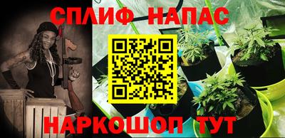 мдпв Кингисепп