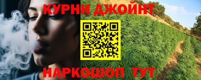 мдпв Кингисепп