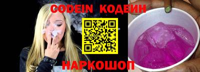 мдпв Кингисепп