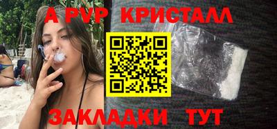 мдпв Кингисепп