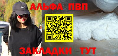 мдпв Кингисепп