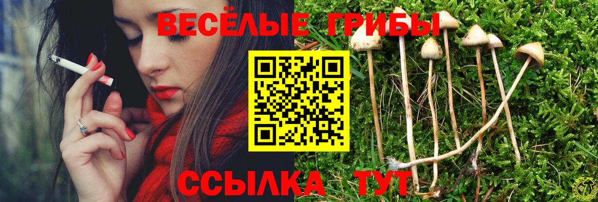Феодосия  наркота  Вход с VPN  Псилоцибиновые грибы Psilocybine cubensis 